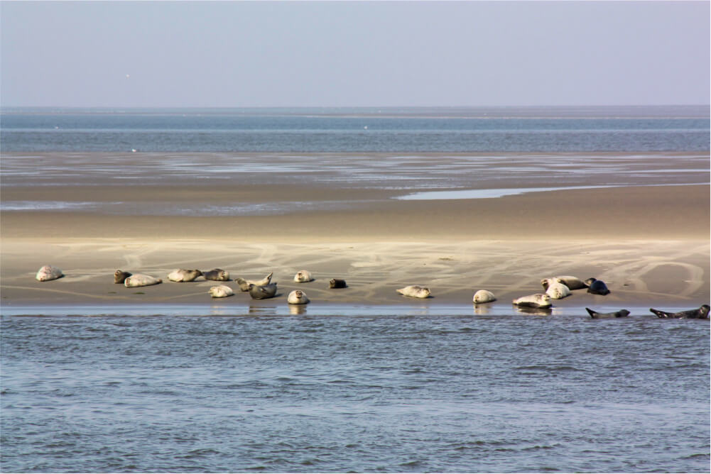 nordsee_1